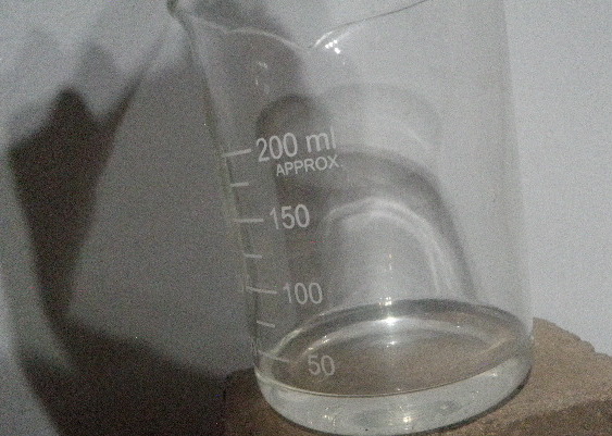P1011875.jpg