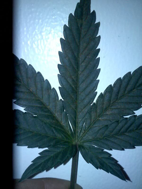 20111210001516.jpg