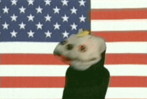 giphy.gif