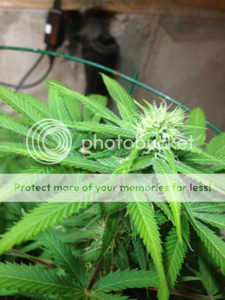 june172012025.jpg
