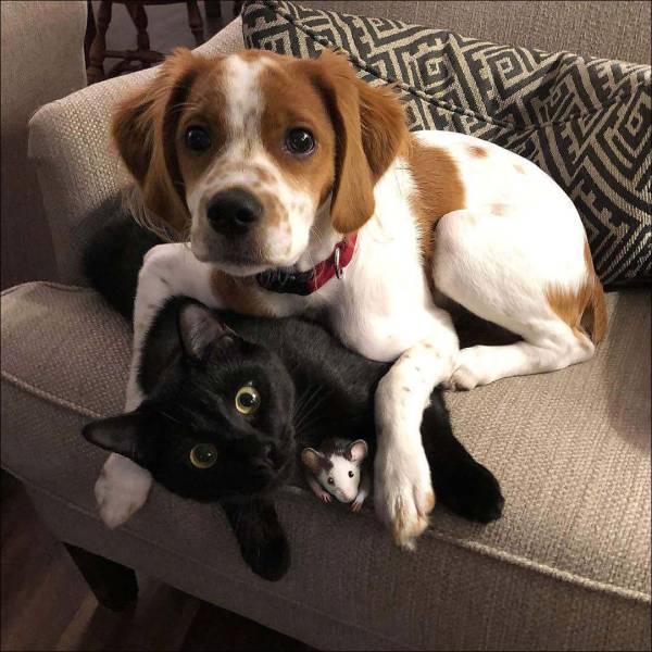 acid_picdump_59.jpg