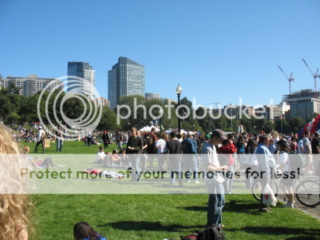 Picture079.jpg