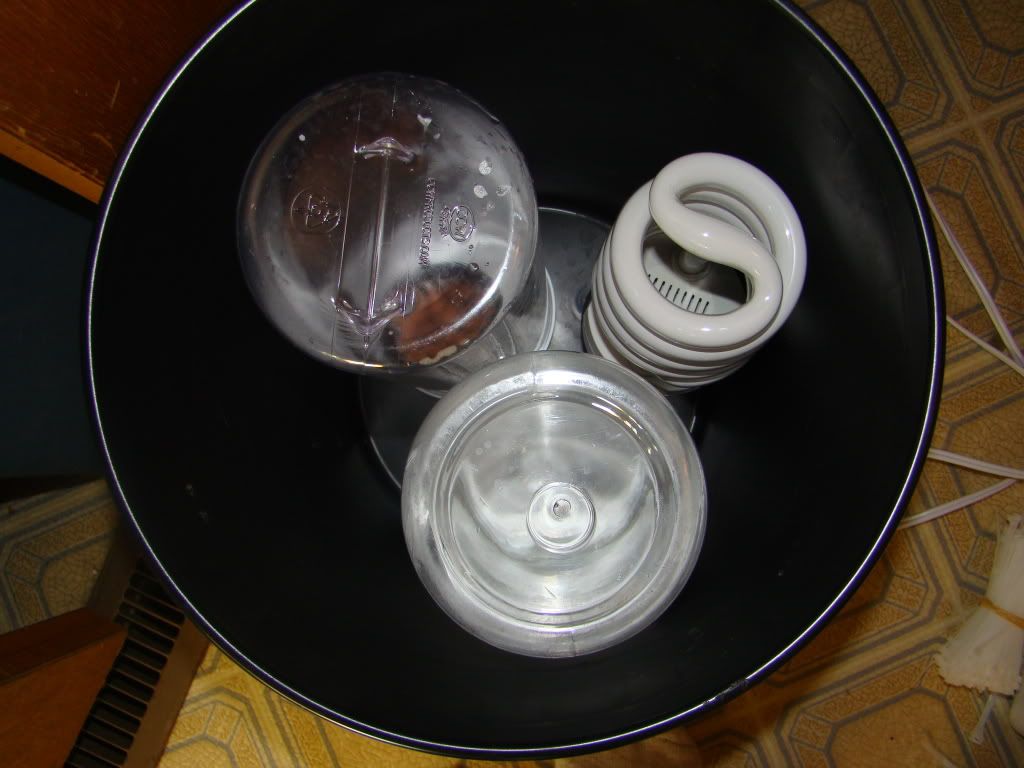 DSC01147.jpg