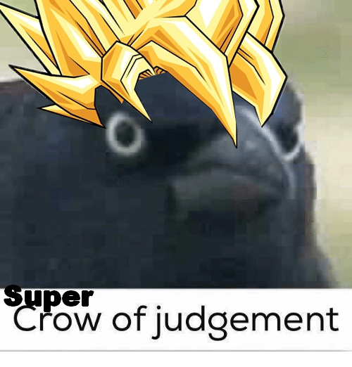 xuqa75zxbi211.png