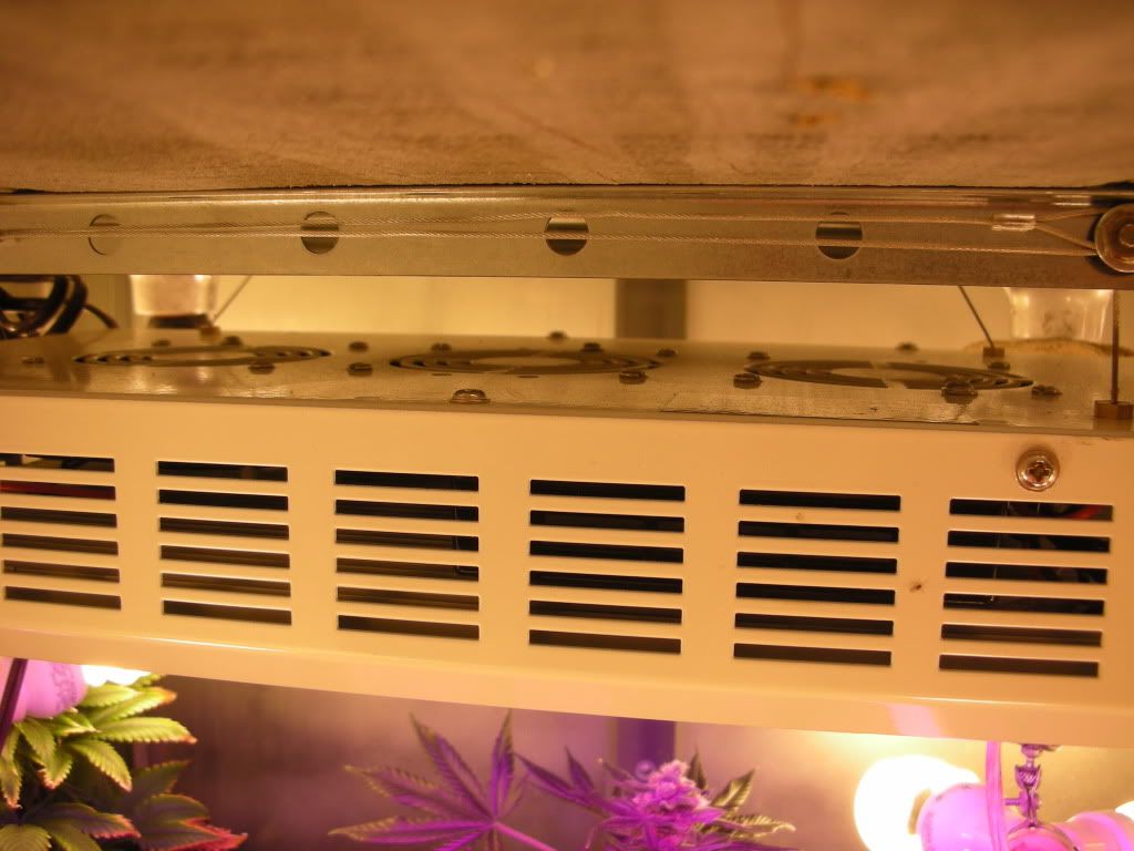 DSCN2239.jpg
