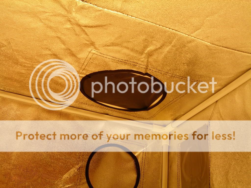 DSCN7738.jpg