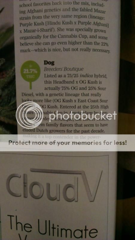 dog2_zps85cac66d.jpg~original