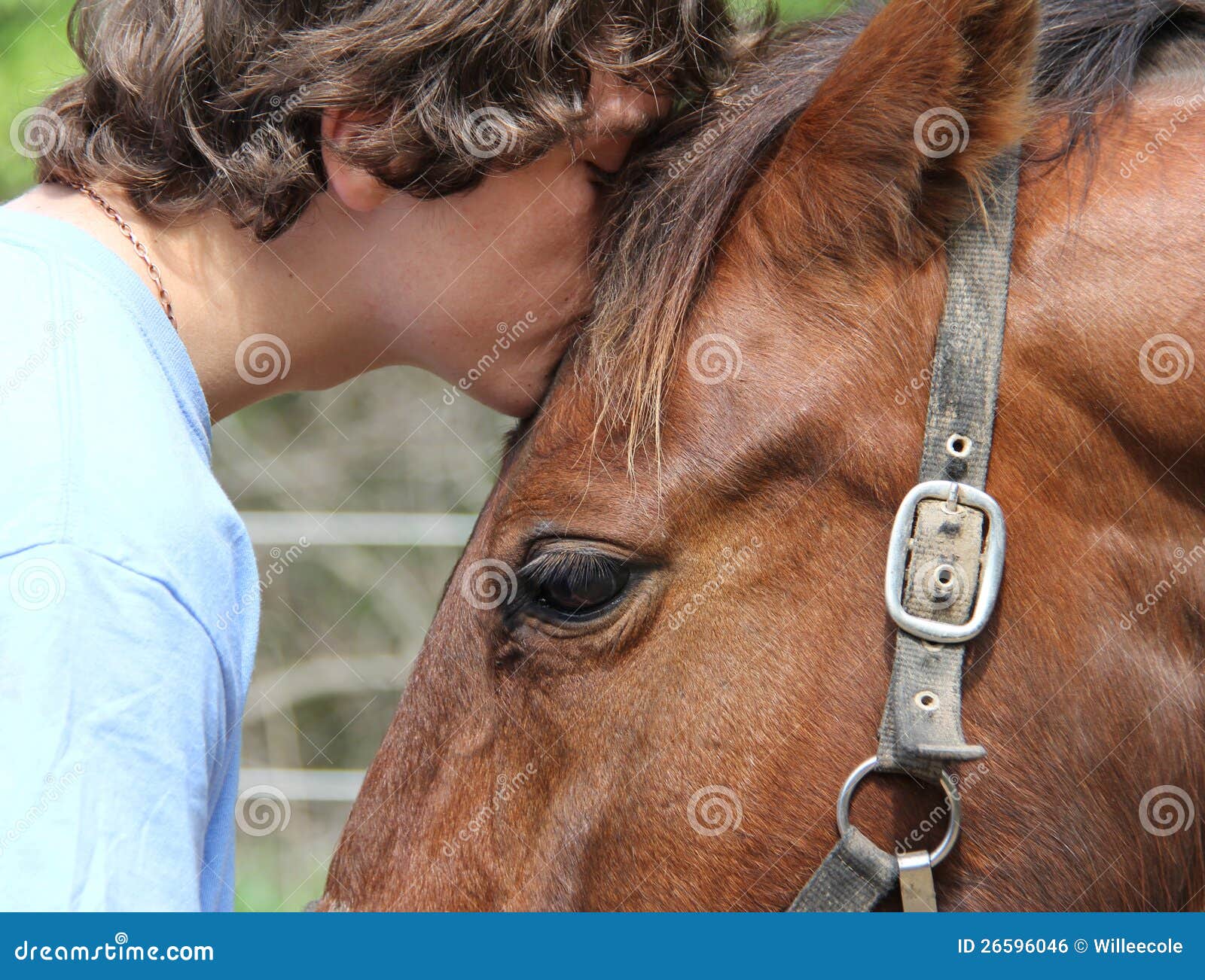 horse-love-26596046.jpg