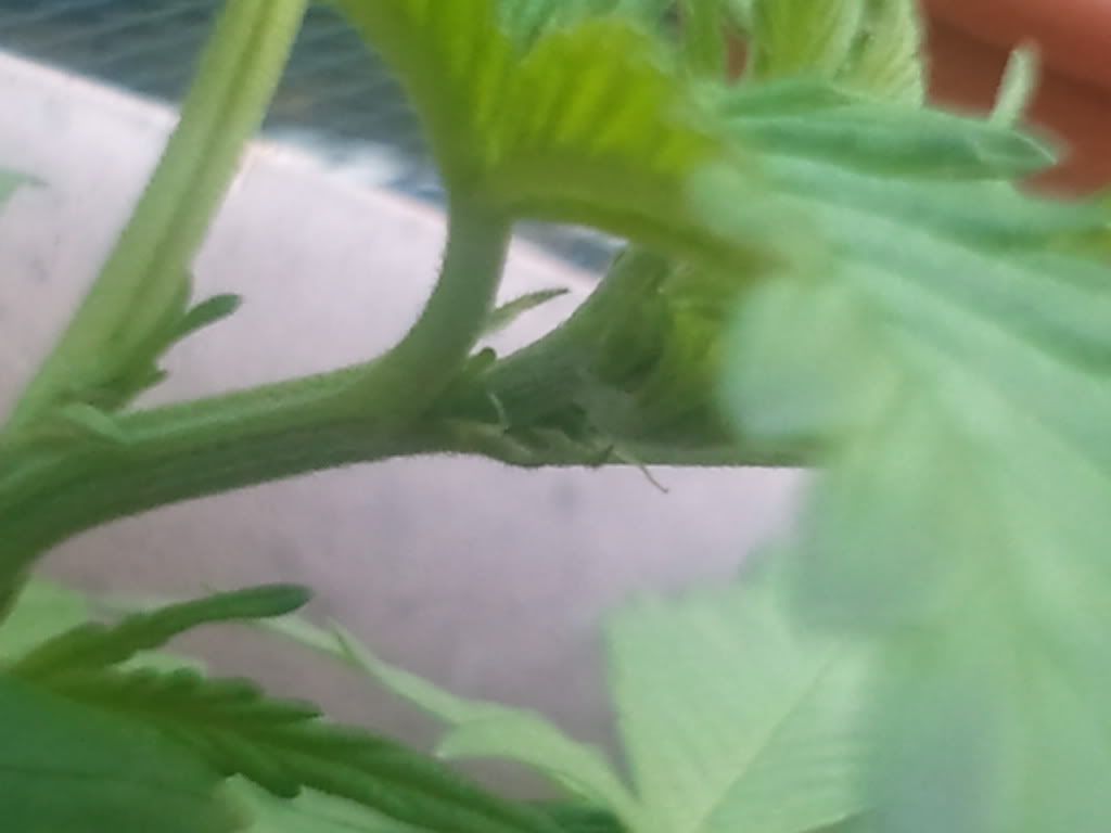 2012-05-15190023.jpg