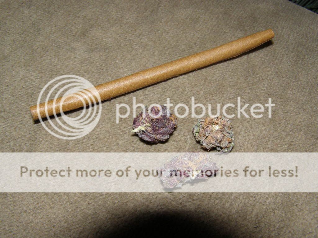 3-25-09010.jpg