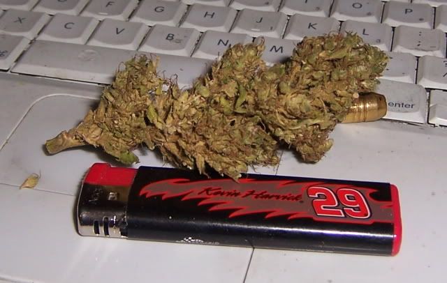 000_3919.jpg