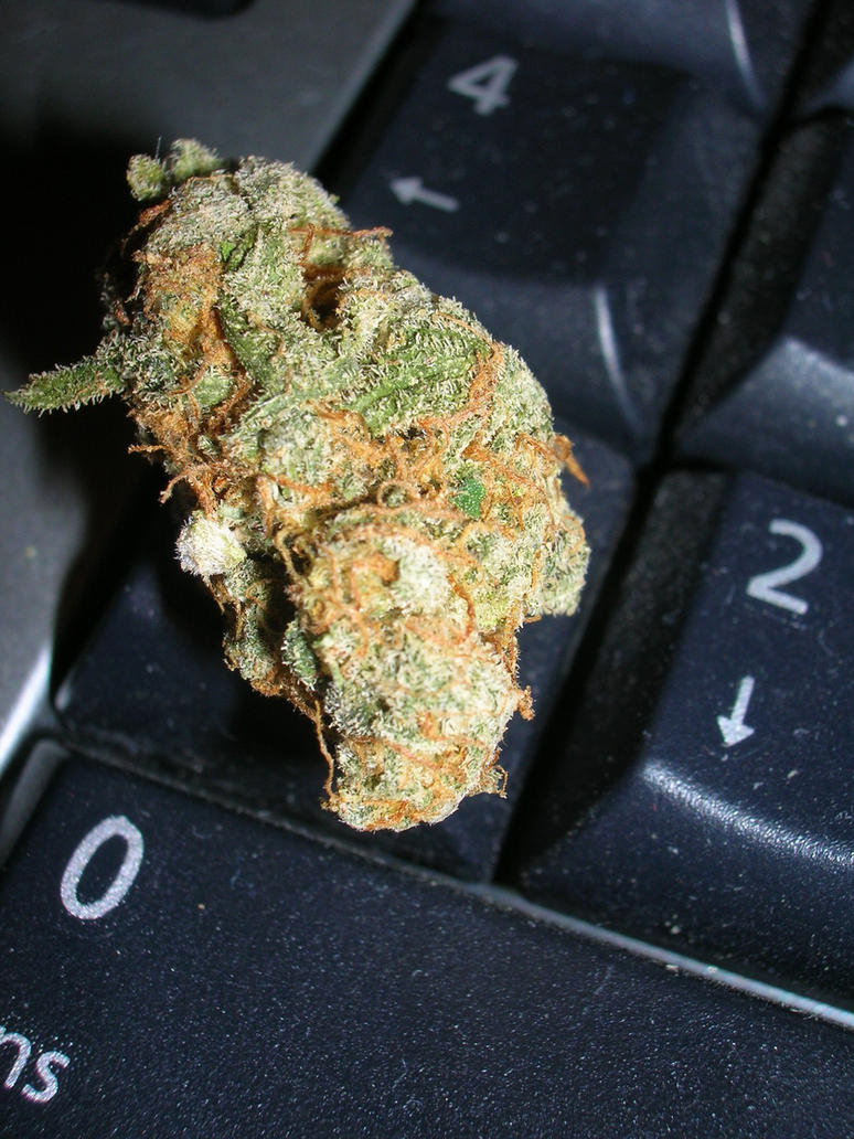 420_by_AJ420.jpg