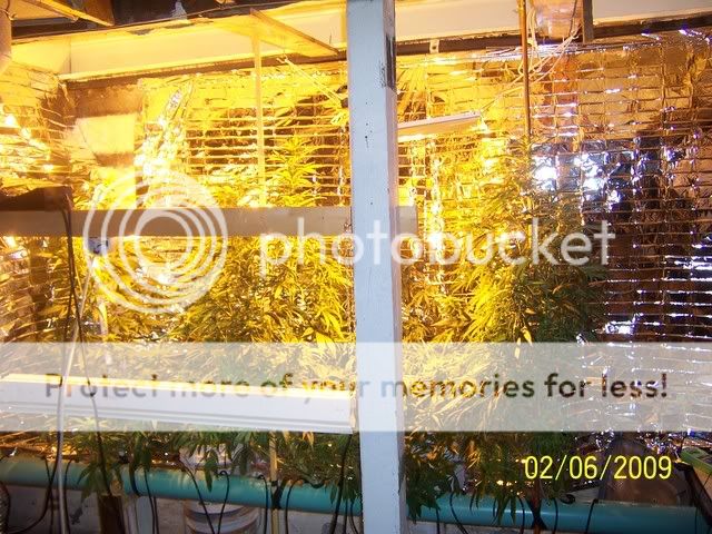 100_1282.jpg