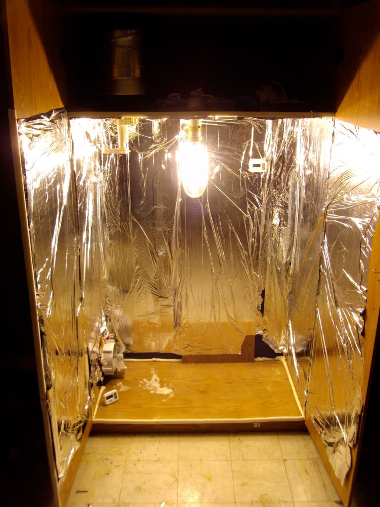 DSC00083.jpg