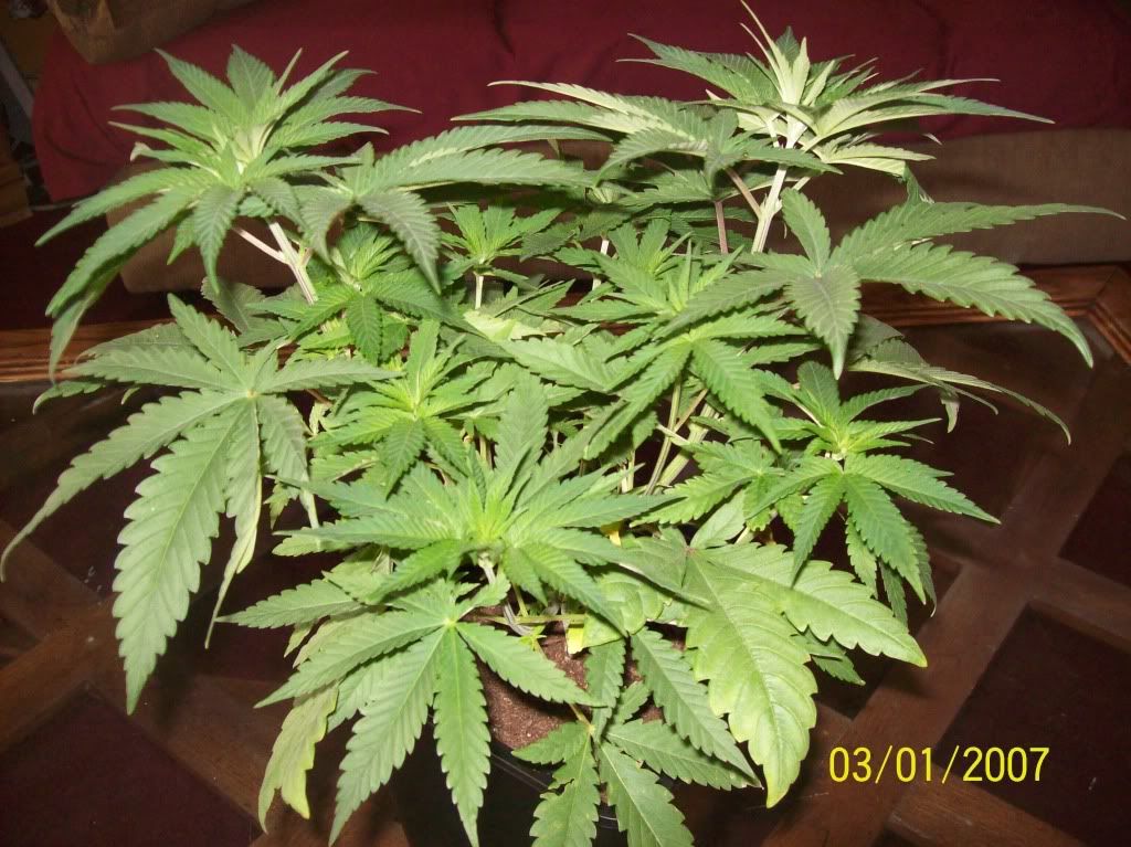 100_8370.jpg