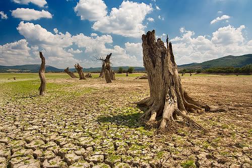 dry_land.jpg