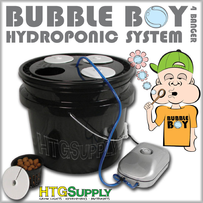 BubbleBoy_Four_banger_Gallery1.jpg