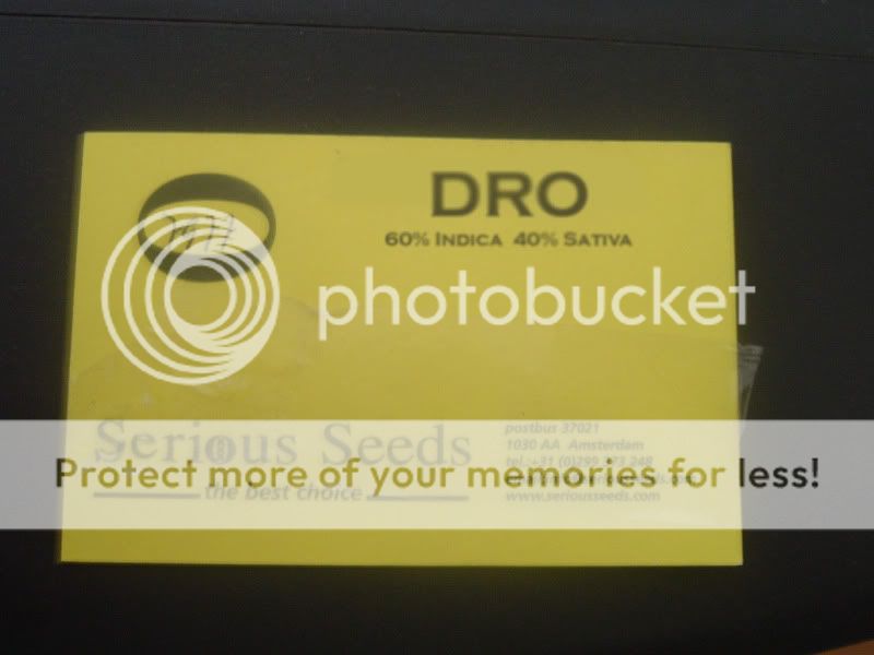 dro.jpg