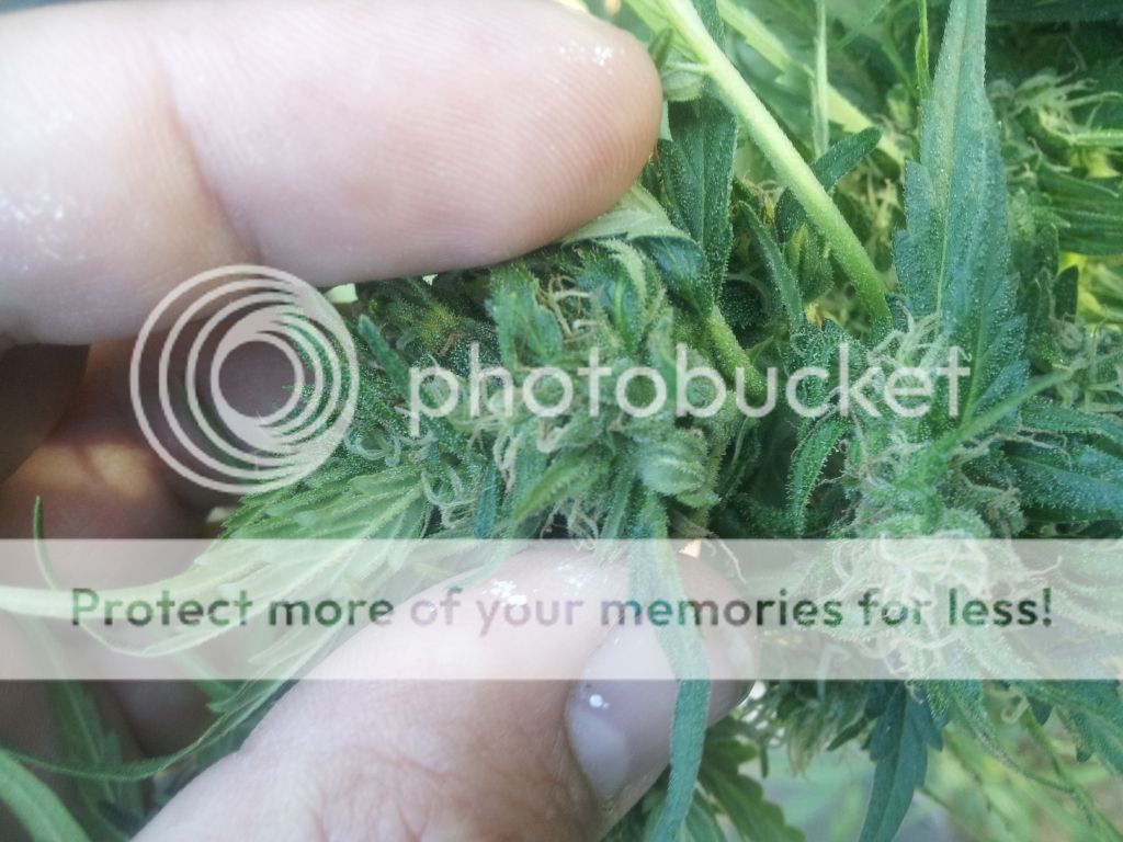2012-10-28154057.jpg