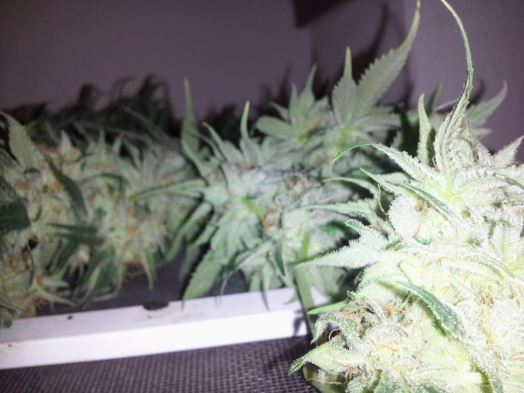 20121229_082715.jpg