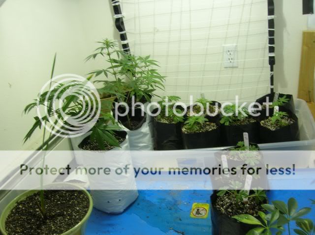 DSCN1175.jpg