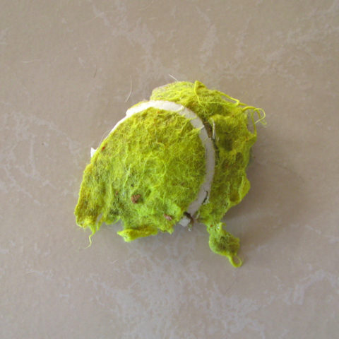 dog-tennis-ball-by-TheTruthAbout.jpg