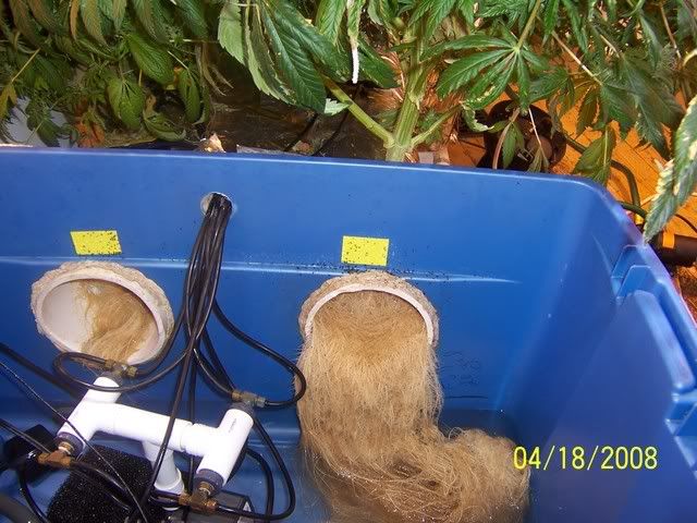 000_3165.jpg
