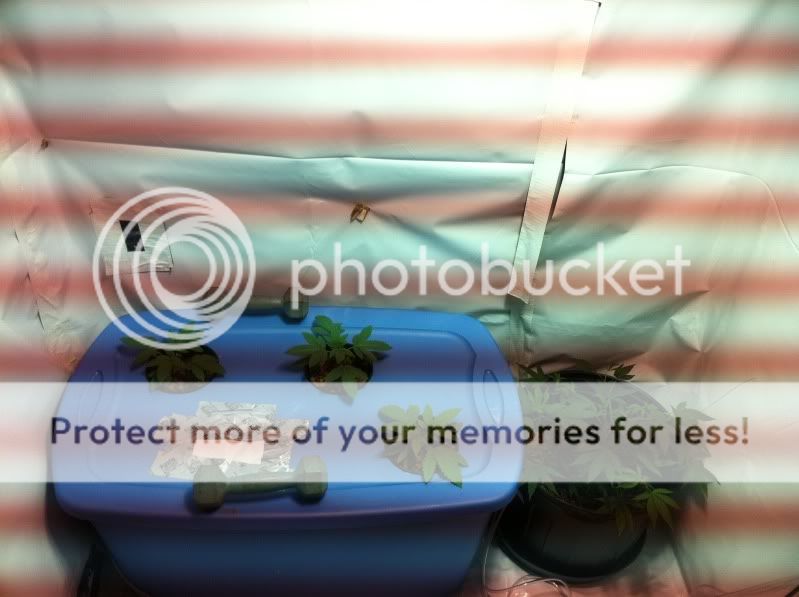 photo7-1.jpg
