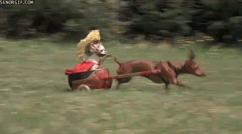gifs_12.gif