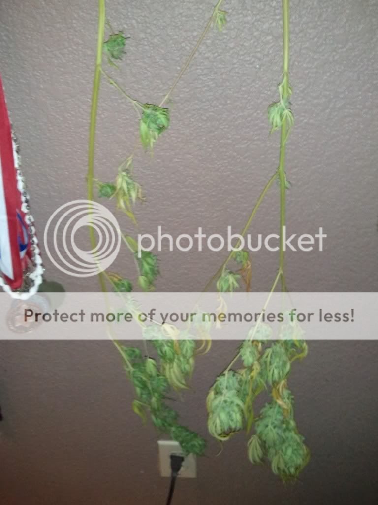 WP_000428.jpg