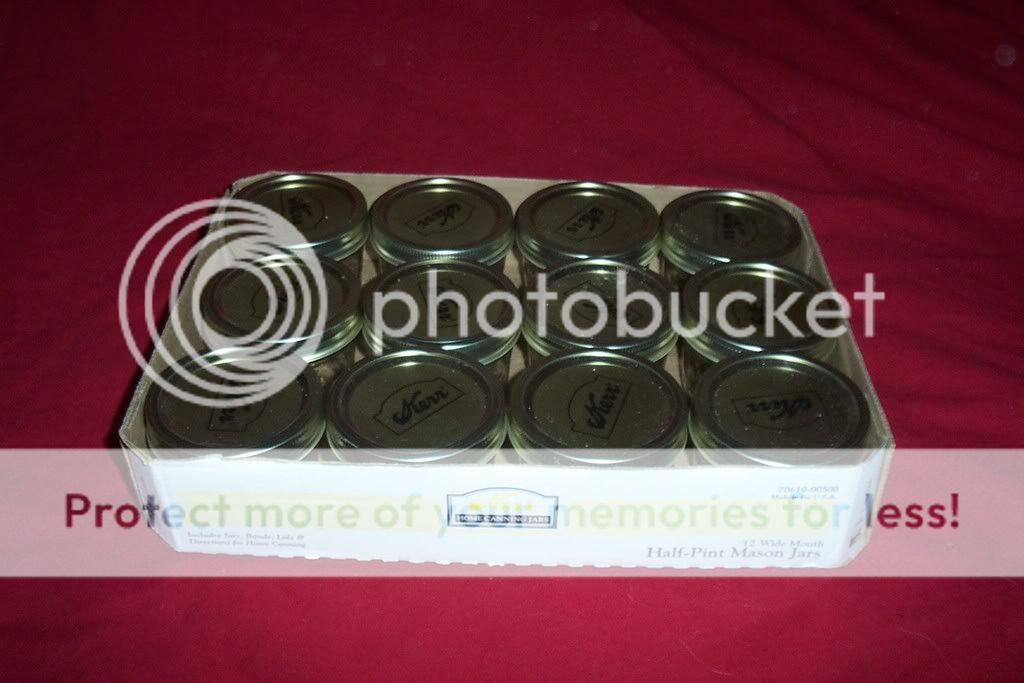Picture2001.jpg