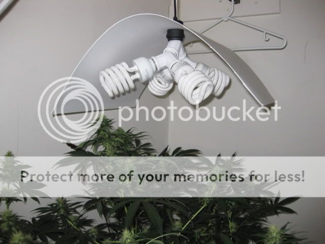 20090221_40.jpg
