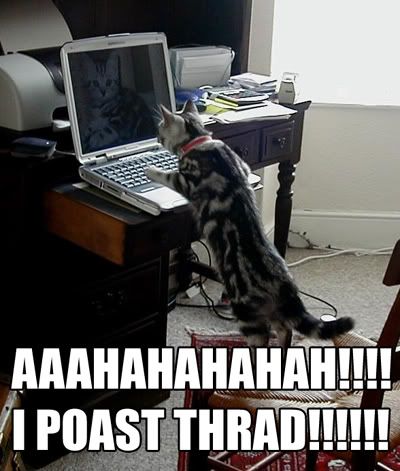 caturday352js4.jpg