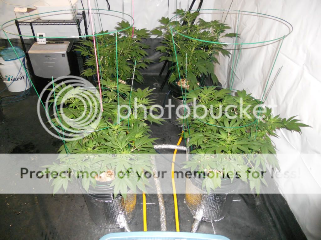 G13_Day17f.jpg