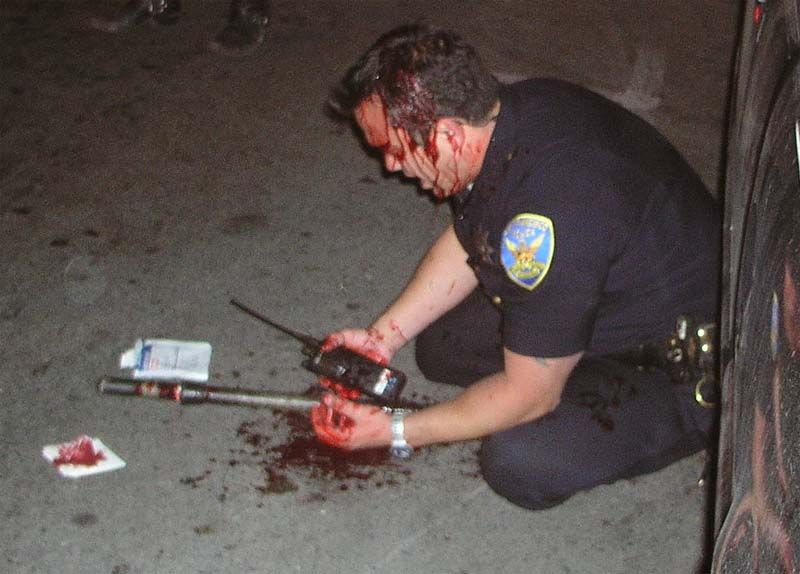 cop_down_big.jpg