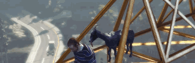 c90.gif