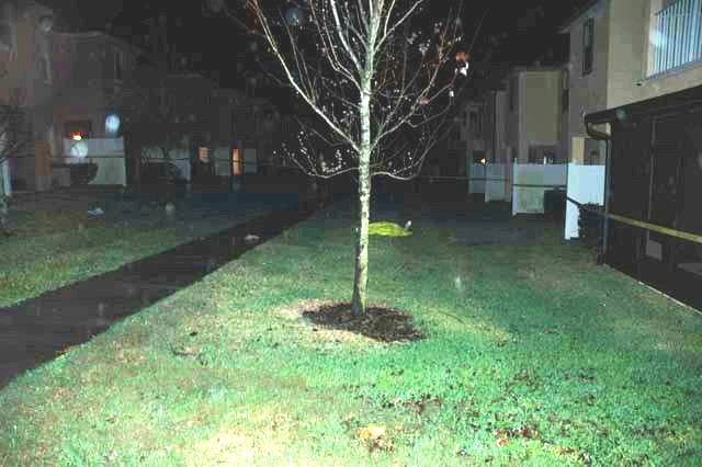 crime_scene_2.jpg