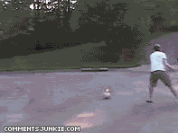 akodifji.gif
