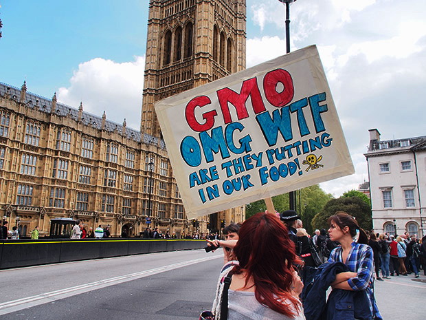 london-monsanto-protest-02.jpg