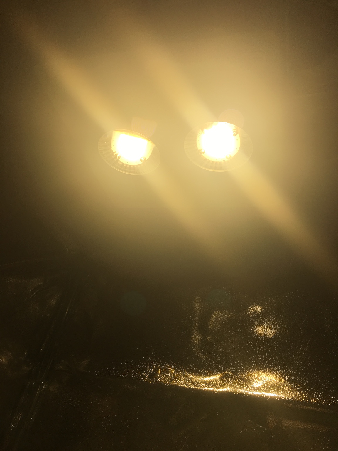 ef9dd98ec9ff41d141b64ef62de041ed.jpg