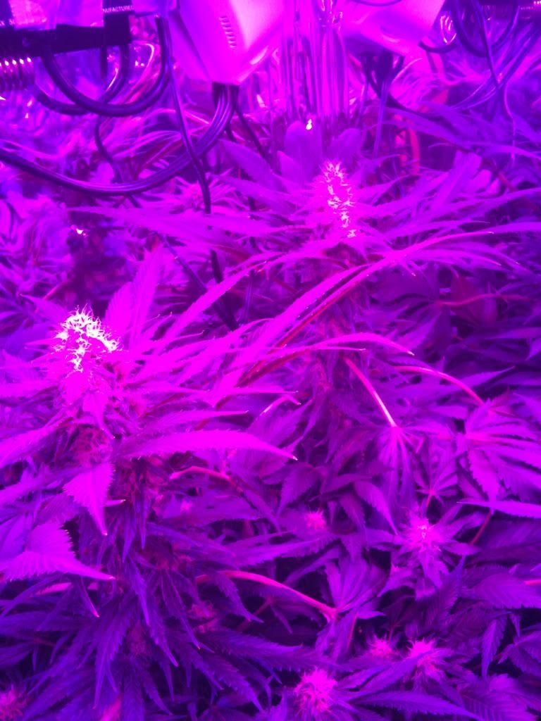 9f0e387f.jpg