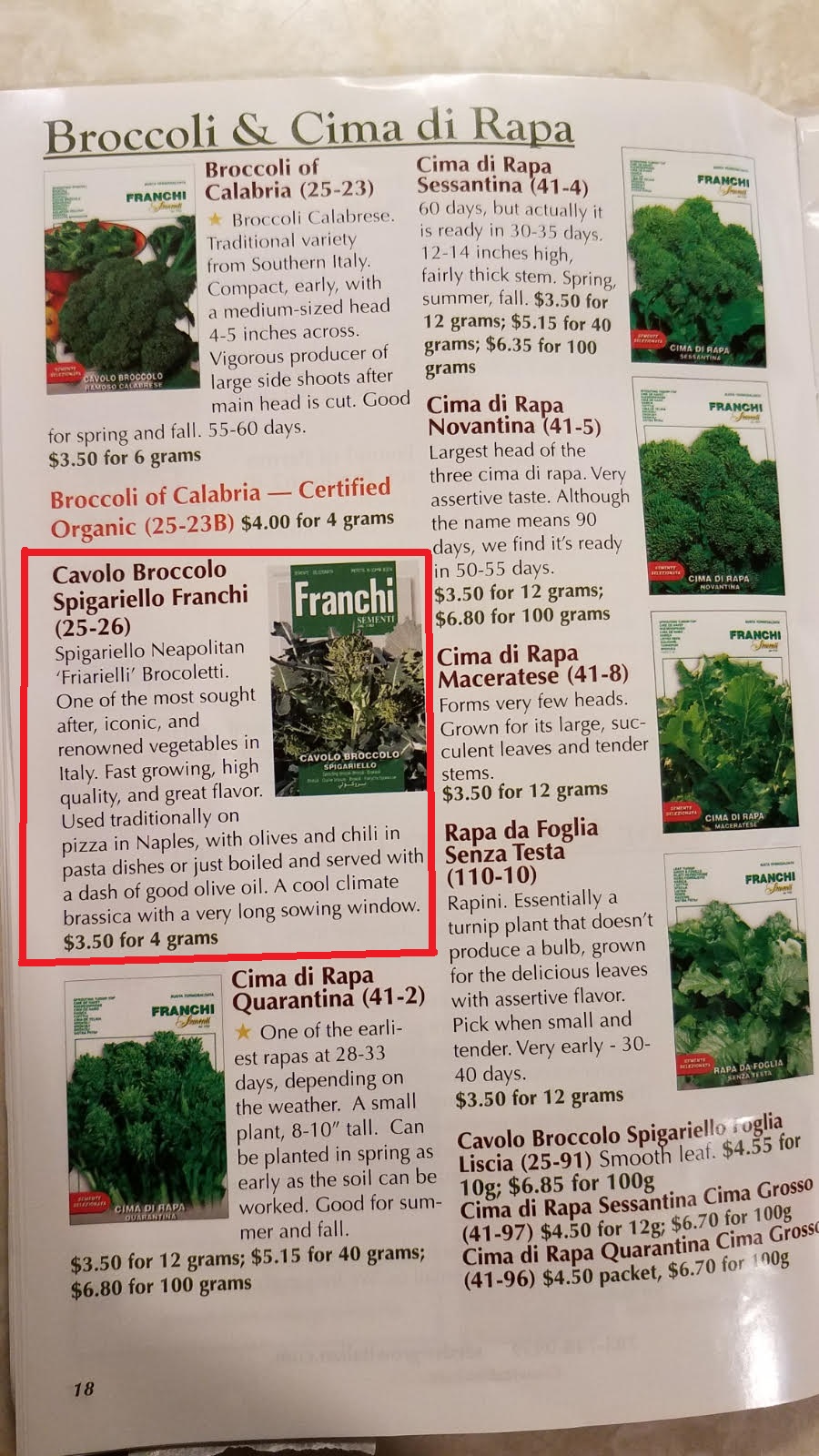 broccolo.jpg