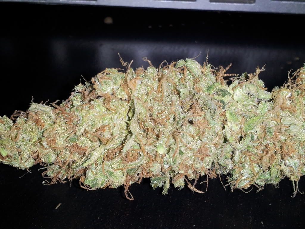 CameraZOOM-20120313233837377.jpg