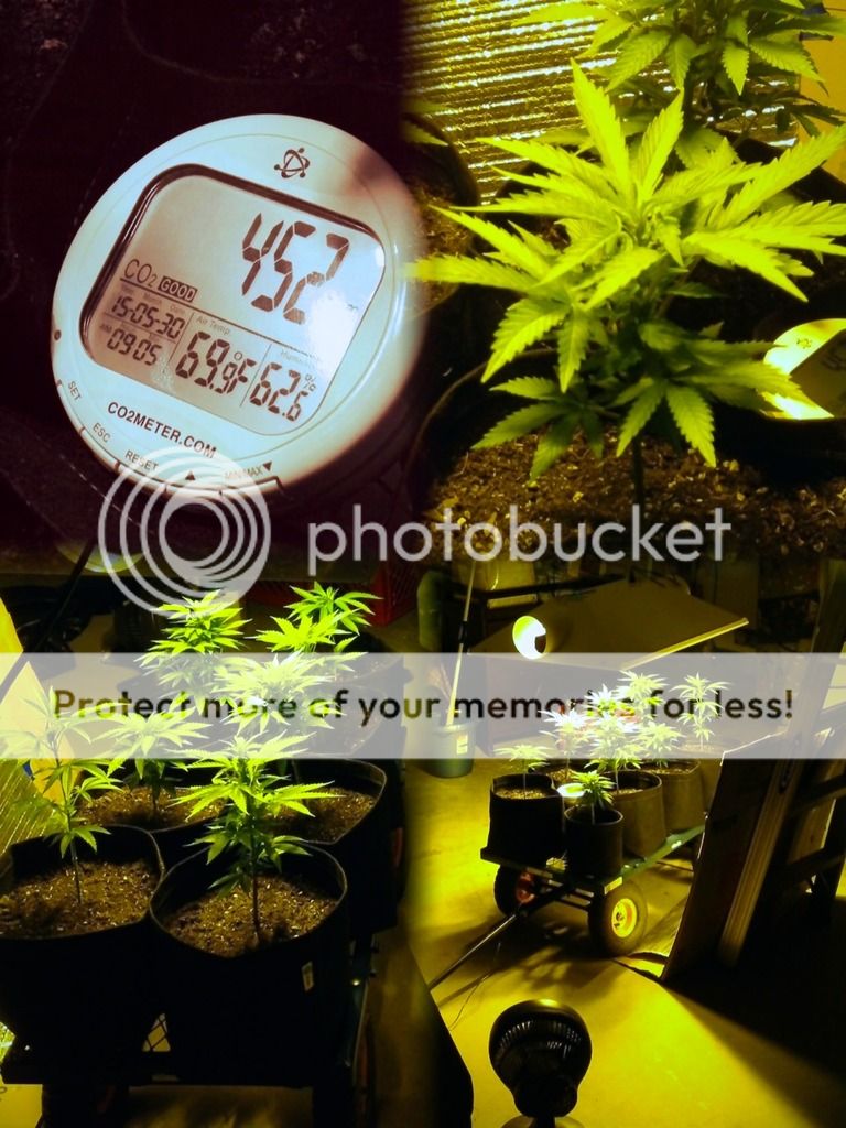 photo_zps4yhtdxwa.jpg