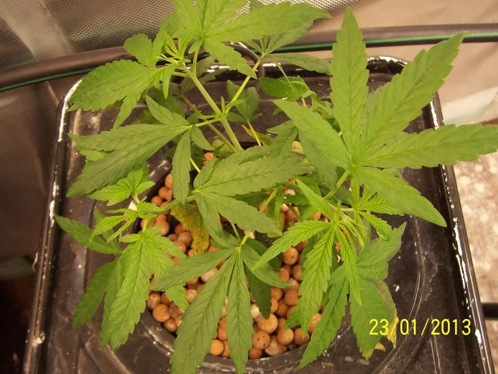 100_3253_zps6573b841.jpg