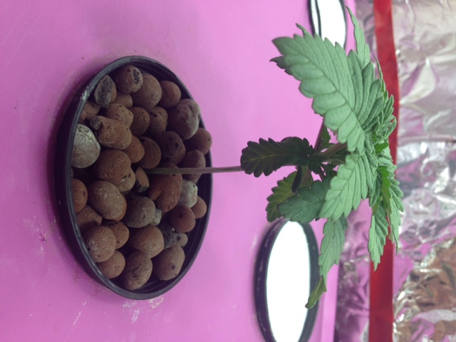 image221.jpeg