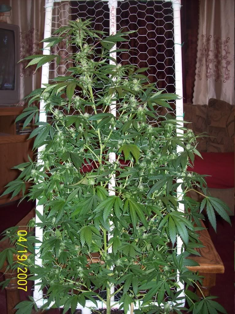 100_8512.jpg