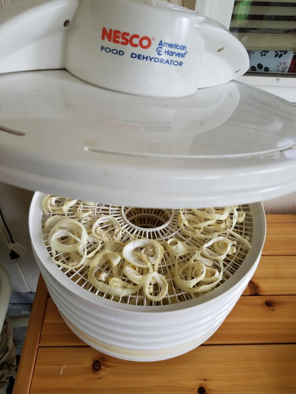 onionsdryer.jpg