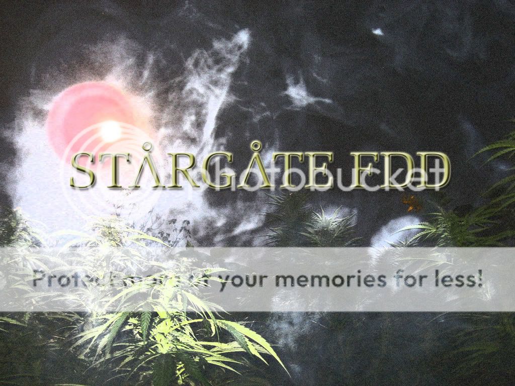 STARGATE.jpg