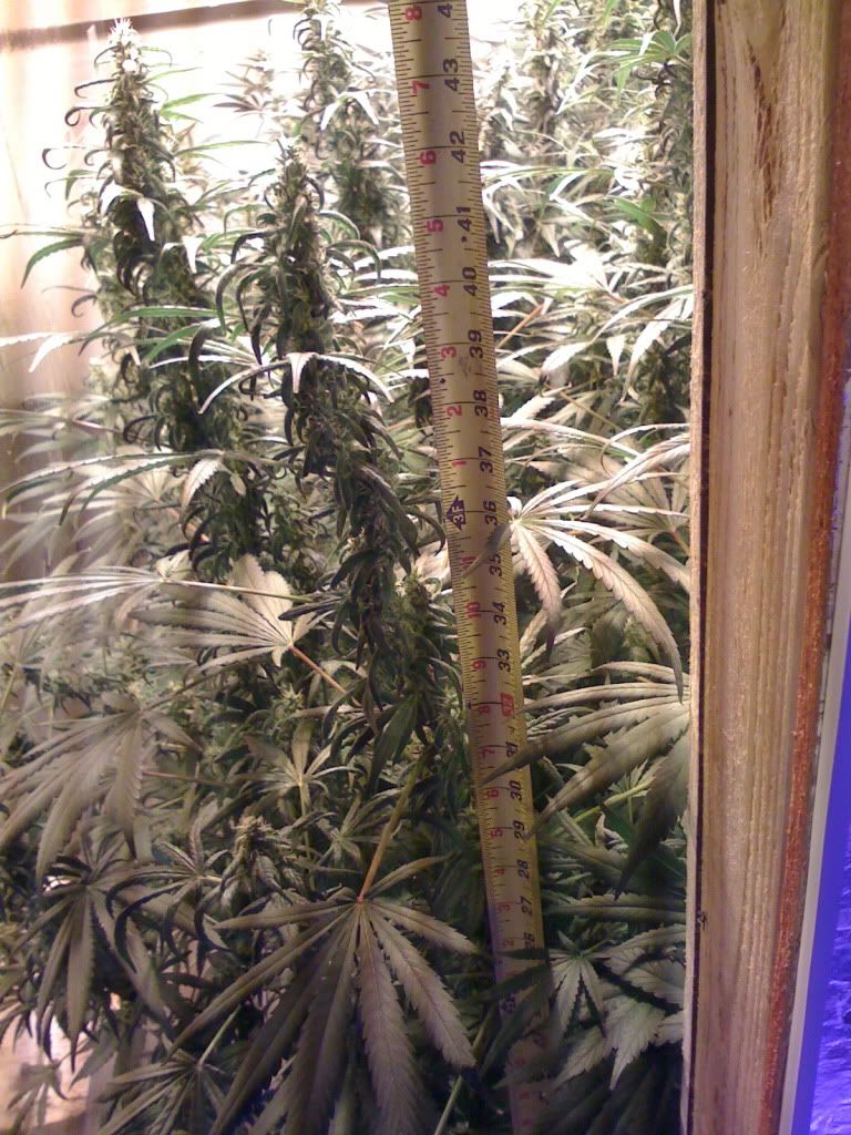 IMG_2113.jpg